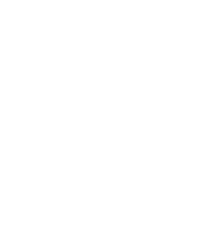 logo fifi group1 (1)